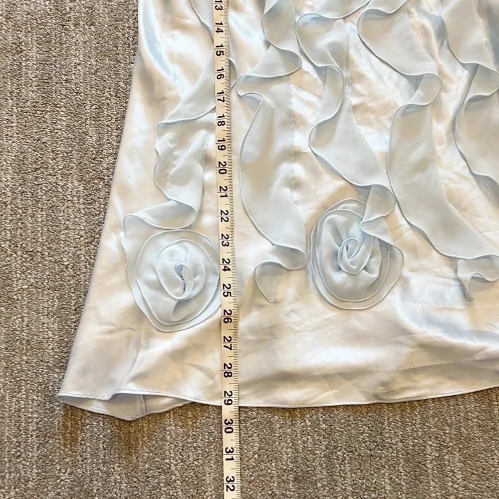 NWT Flora Nikrooz Chiffon Ruffle Chemise